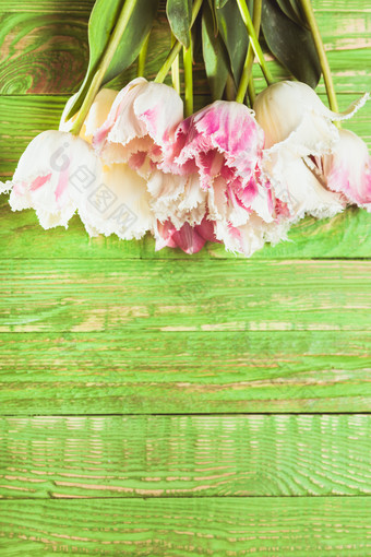 绿色木板上的花枝