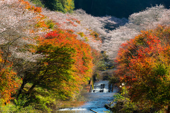 暗色调名古屋的秋天摄影图