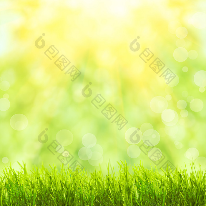 绿色草丛草坪摄影图
