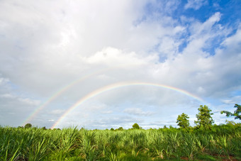 蓝色清新<strong>雨后</strong>天空摄影图