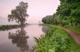 深色调湿地风光美景<strong>摄影</strong>图