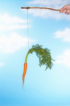 绳子绑着棍子和胡萝卜