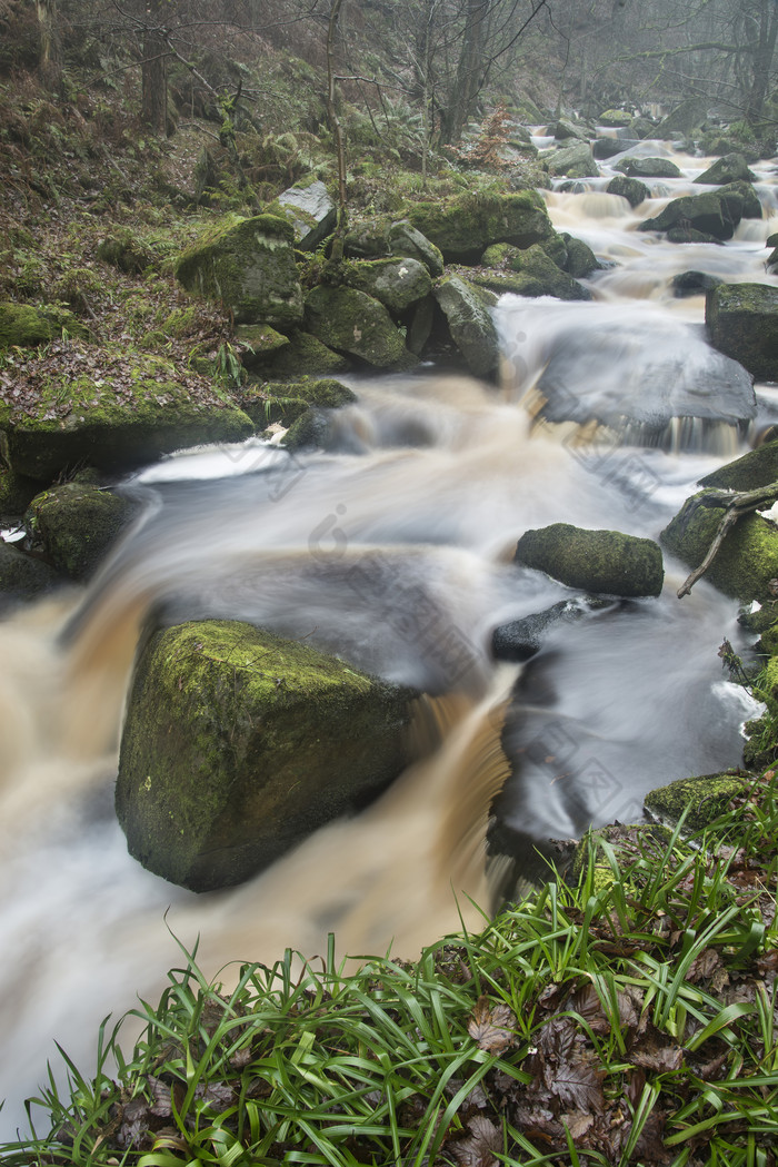山水画风景画森林美国雨季