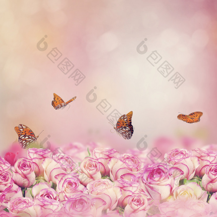 粉色调花中的蝴蝶摄影图