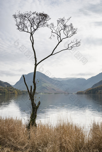 山水画风景画湖坎布里亚郡