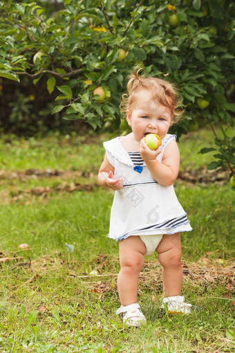 吃苹果的婴儿摄影图