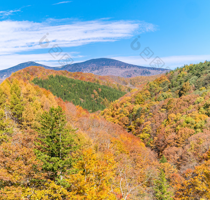 唯美山上美景摄影图