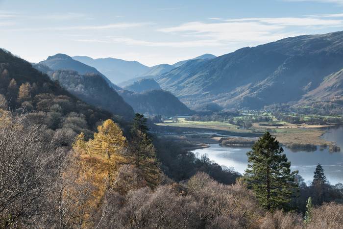 大山树林环绕的小河流