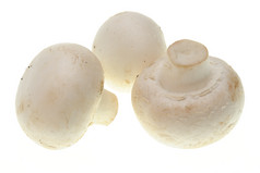 白色口蘑蘑菇蔬菜摄影图