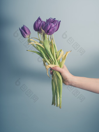 手持一捧紫色花卉摄影图