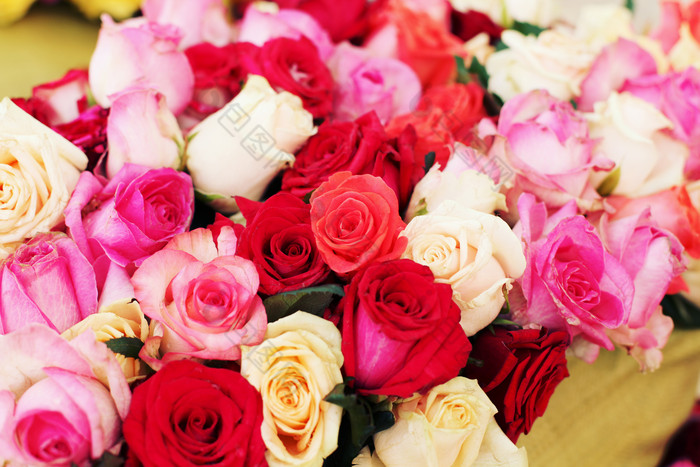 漂亮的玫瑰花鲜花