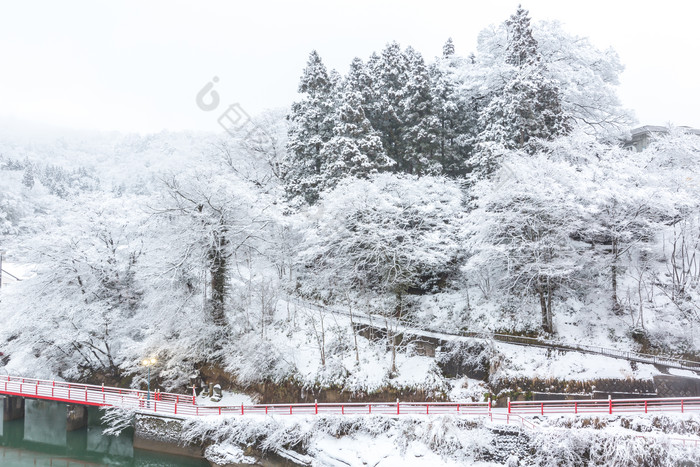 灰色调冬天雪后美景摄影图