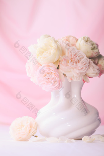 粉色调漂亮花瓶摄影图