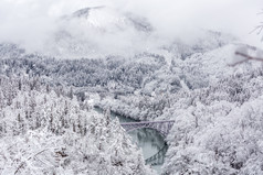 冬季雪后的森林摄影图