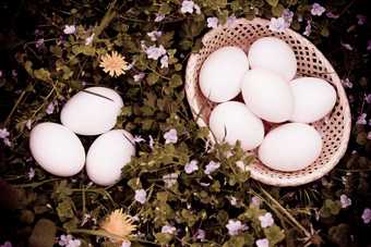 白皮鸡蛋食物摄影图