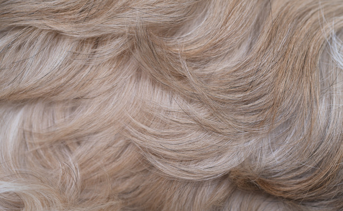 动物犬类的各种毛毛