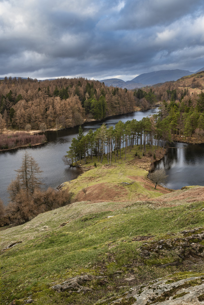 河边的秋季树林树木