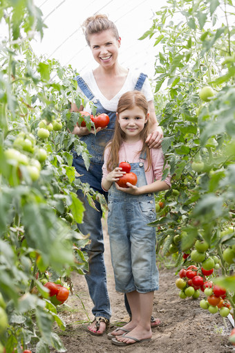 清新风格摘西红柿的母女摄影图
