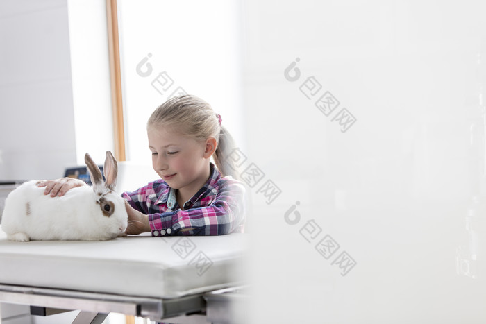 简约风格治疗兔子摄影图