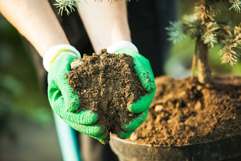 <strong>种植植物</strong>的土壤摄影图