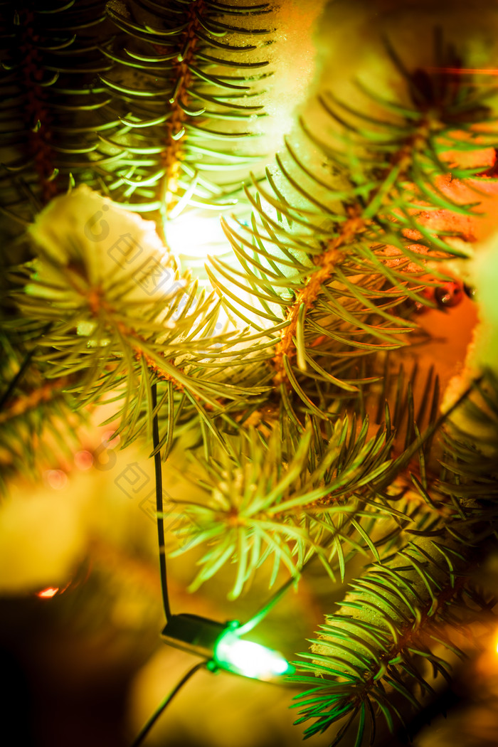 彩灯装饰的松树摄影图