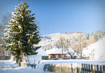 冬天雪景房屋松木