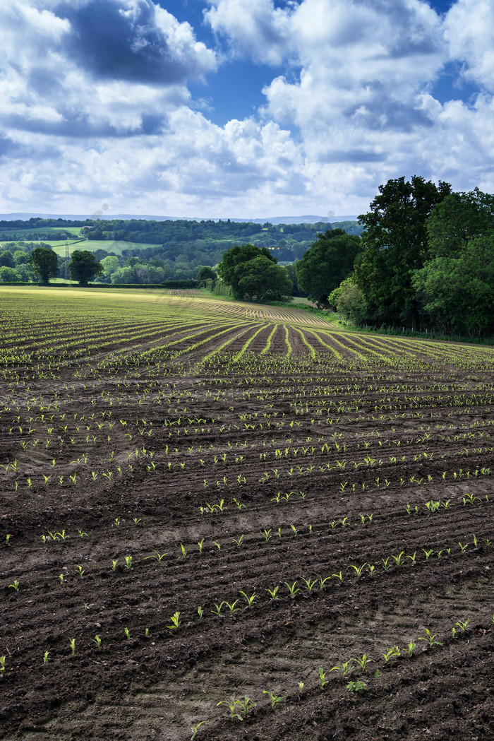 包图网提供精美好看的深色调农村耕地素材免费下载,本次作品主题是