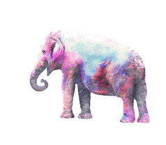 彩色的大象艺术品
