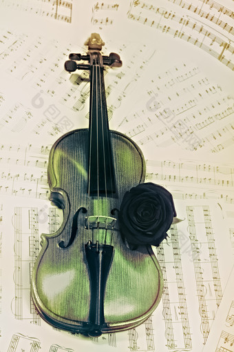 简约绿色小提琴摄影图