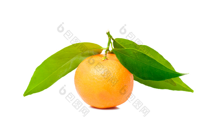 新鲜橙色果实水果
