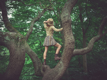 穿裙子的女生站在大树上