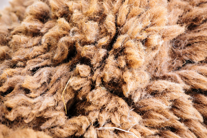 绵羊毛毛皮摄影图