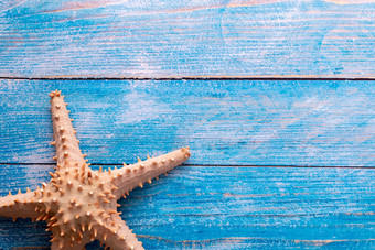 蓝色木板上的海星