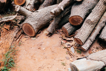 木桩木材木柴摄影图