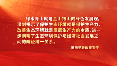 简洁党政党建政策文字标语展示背景视频