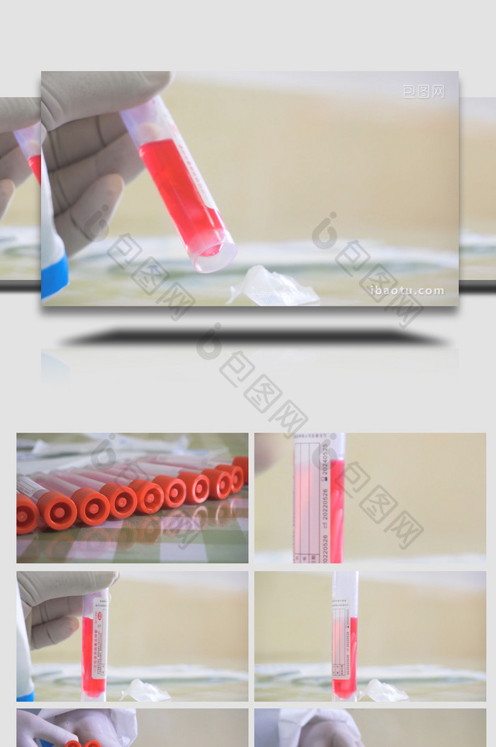 科研生物学取样研究4K实拍