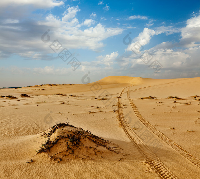 寸草不生的沙漠摄影图