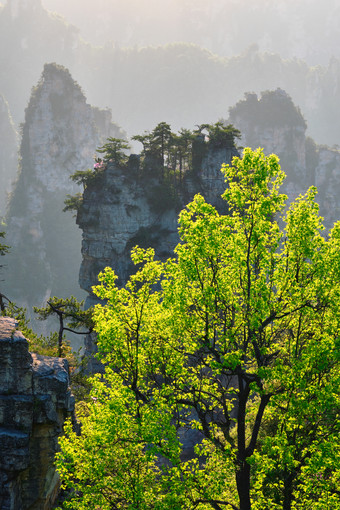 大树岩石<strong>远山摄影图</strong>片