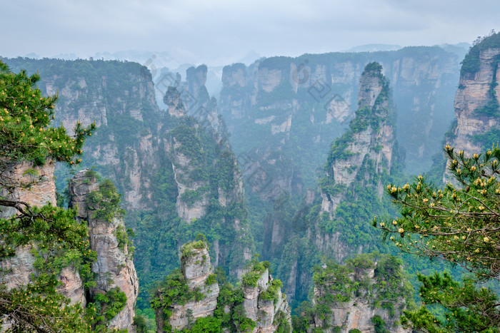 张家界风景区风景摄影图片