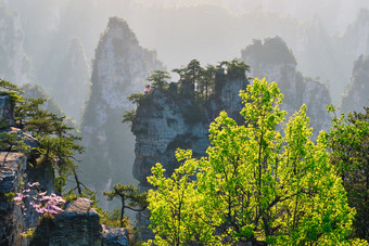 远山树木摄影图片