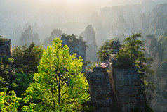 张家界山峰森林阳光摄影图片