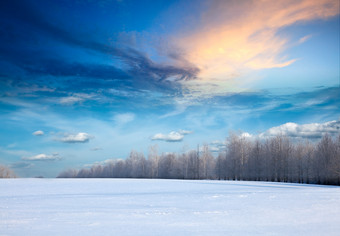 寒冷的<strong>雪地</strong>摄影图片