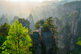 张家界山峰大树摄影图片