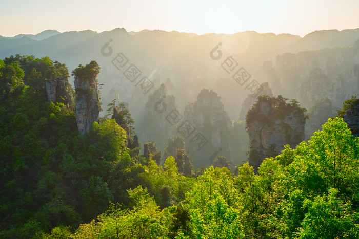 张家界森林山水阳光摄影图片