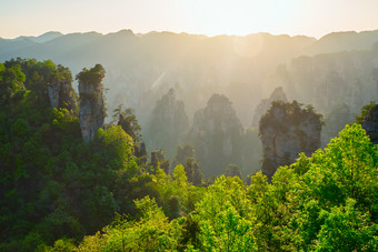 张家界森林山水阳光摄影图片