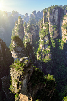 阳光下的张家界山峰摄影图片