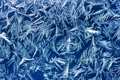 抽象的结冻冰霜花纹摄影图