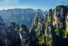 张家界山峰绿色植物摄影图片