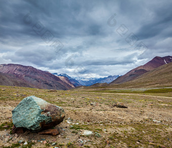 草地上的石头近景摄影图