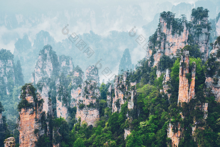 植物山岳山峰摄影图片